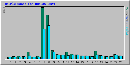 Hourly usage for August 2024